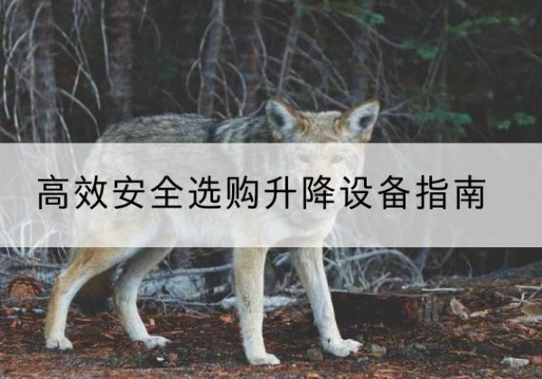 老边升降货梯厂家推荐-*安全选购升降设备指南