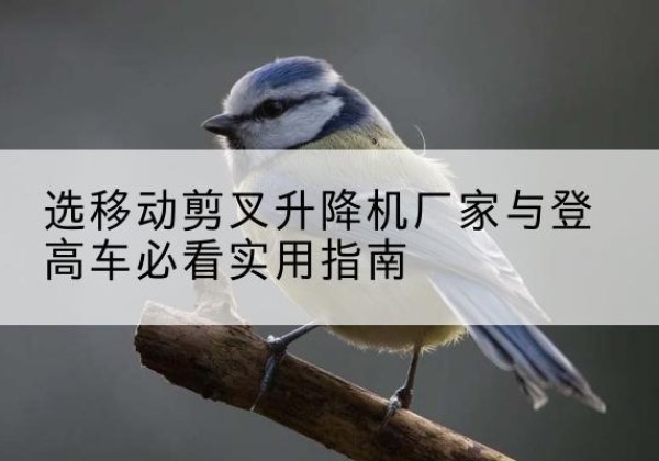 老边电动升降机厂家-选移动剪叉升降机厂家与登高车必看实用指南