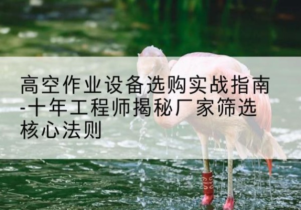 老边剪叉式升降机厂家-高空作业设备选购实战指南-十年工程师揭秘厂家筛选核心法则
